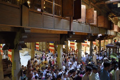 Sri Lanka, center province, Kandy, Temple of the Buddha Tooth (Sri Dalada Maligawa), the crowd of pilgrims comes to see the dogoba containing the relic of the tooth