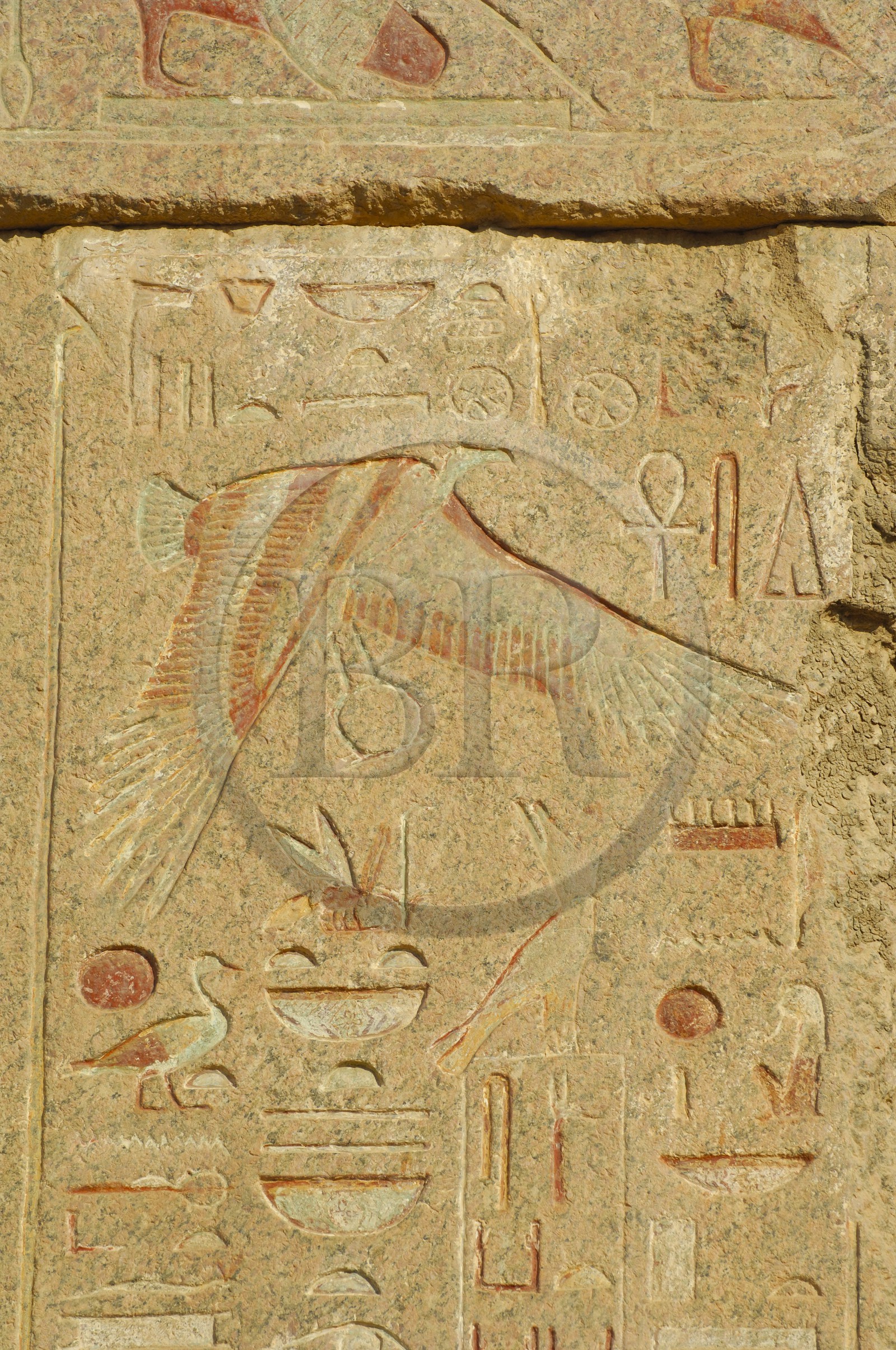 Egypte, Haute Egypte, vallée du Nil, environs de Louxor, nécropole thébaine classée Patrimoine Mondial de l'UNESCO, Thèbes Ouest, Deir el Bahari, temple d'Hatchepsout