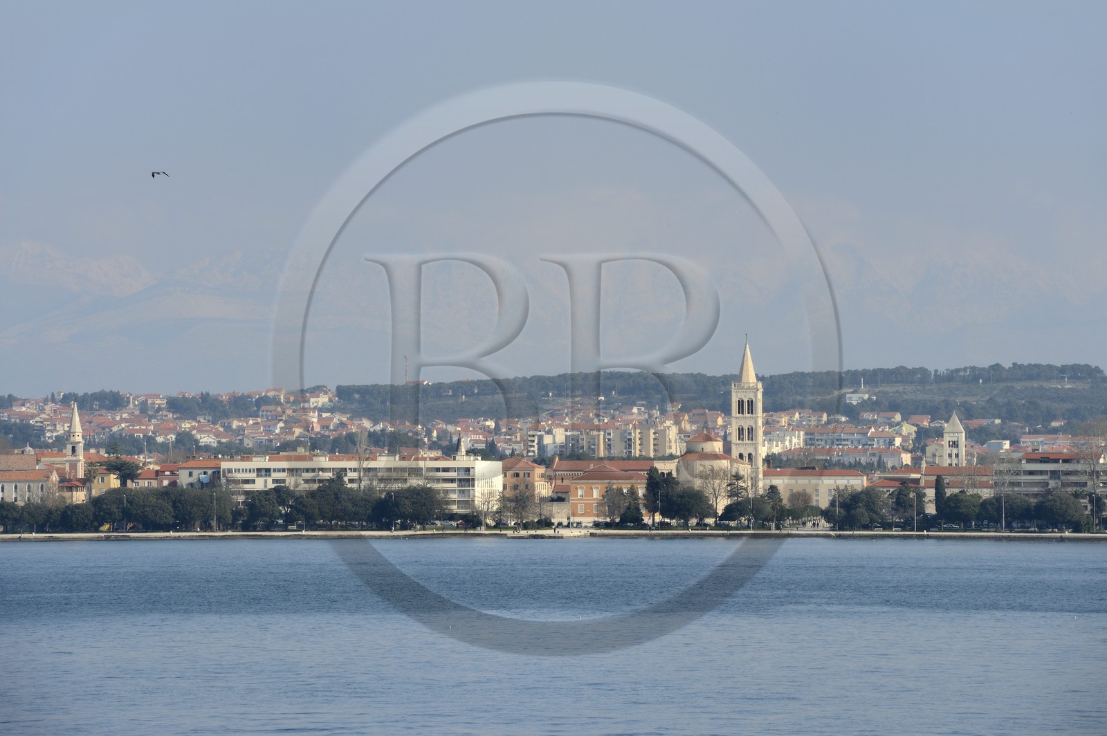 Croatie, Dalmatie, côte dalmate, Zadar,