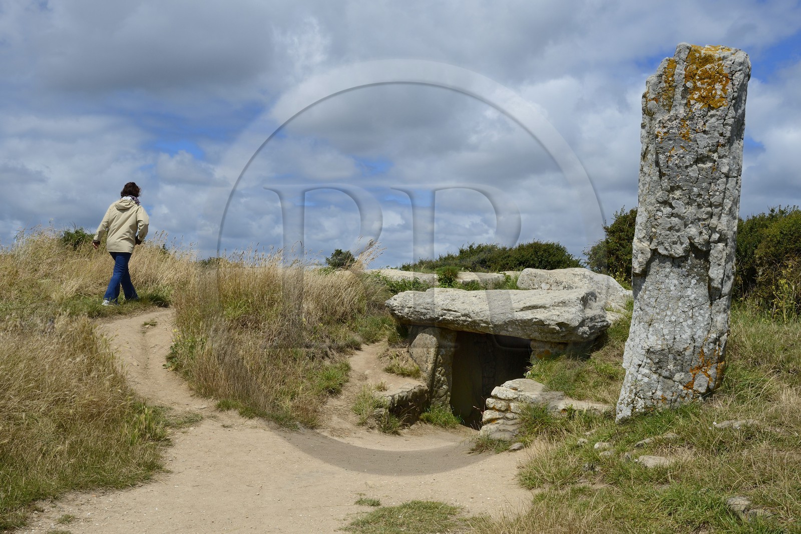 France, Morbihan (56), Golfe du Morbihan, Locmariaquer, Dolmen des Pierres Plates