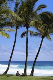 France, Reunion Island (French overseas department), southern coast, Grande Anse beach