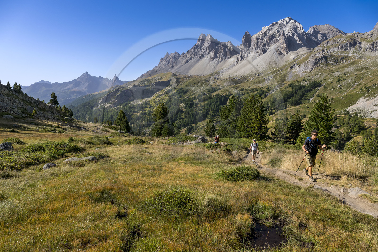 France, Hautes Alpes (05), le Briançonnais, Névache, randonneurs dans la vallée de la Clarée, le massif des Cerces en arrière-plan