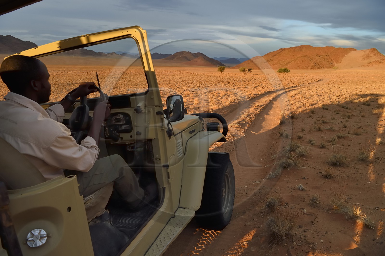 Namibie, région de Hardap, désert du Namib à l'Est du parc national Namib Naukluft vers Sossusvlei, plaine du désert recouverte d'herbe au coucher de soleil