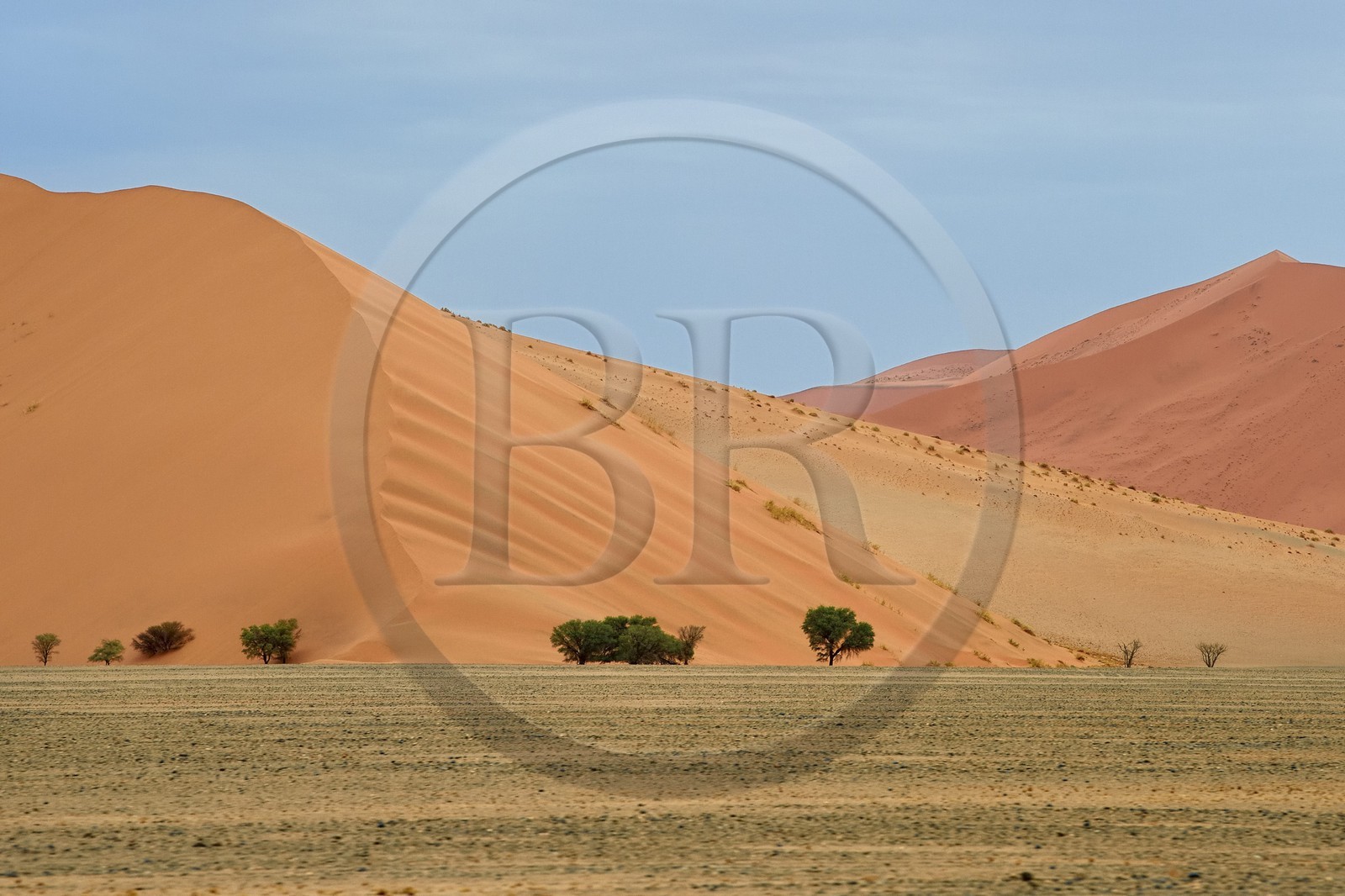 Namibie, région d'Hardap, désert du Namib, parc national du Namib-Naukluft, Erg du Namib classé Patrimoine Mondial de l'UNESCO, dunes de Sossusvlei
