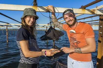 France, Herault, Etang de Thau, Meze, shellfish producers Quentin and Emmeline, young Ostrea edulis oysters and spats in Japanese baskets