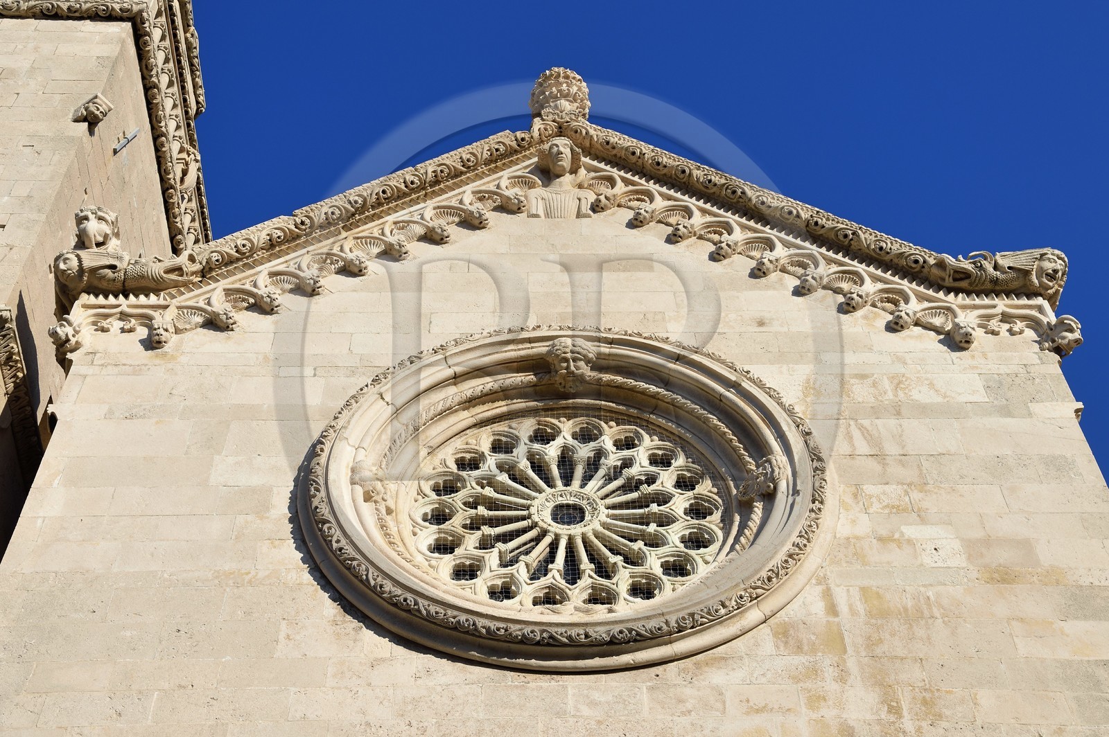 Croatie, Dalmatie, cote dalmate, Ile de Korcula, ville de Korcula, cathédrale Saint-Marc, la rosace et la frise de la facade