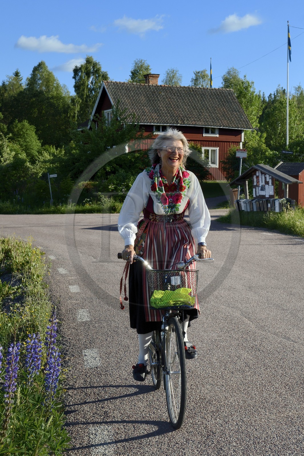 Suède, comté de Dalécarlie, région de Leksand, célébrations du solstice d'été dans le petit hameau de Hjulbäck, femme en costume traditionnel