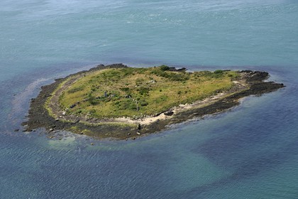 France, Morbihan (56), Golfe du Morbihan, île d'Er Lannic avec un site mégalithique cromlec'h (vue aérienne)