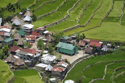 Philippines, Ifugao province, Banaue rice terraces around the village of Batad, listed as World Heritage by UNESCO