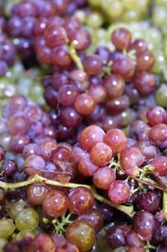 France, Haut Rhin, the Alsace Wine Route, Bergheim, Wine estate Marcel Deiss, fermentation of the grapes in a large tank