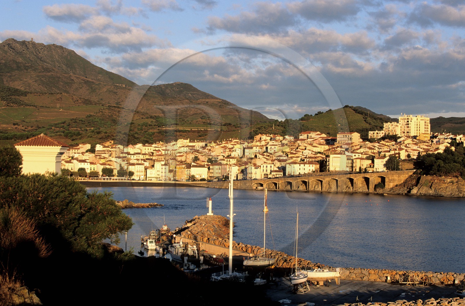 France, Pyrénées-Orientales (66), Banyuls-sur-Mer et ses vignobles sur la côte Vermeille France, Pyrénées-Orientales (66), Banyuls-sur-Mer et ses vignobles sur la côte Vermeille