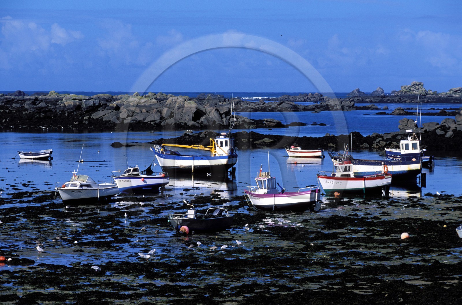 France, Finistère (29), Aber Wrac'h, près du phare de l'île Vierge, grève de Lilia