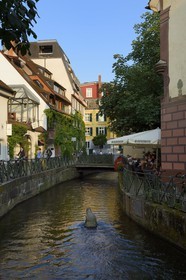 Germany, Baden-Wurttemberg, Freiburg im Breisgau, Gerberau street in the snails suburb (Schnecken-vorstadt), the statue of the crocodile in the Gewerbekanal waters