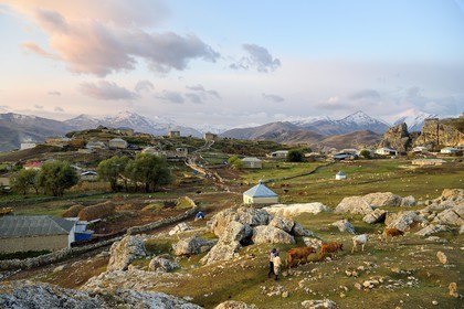 Azerbaïdjan, région de Quba (Guba), chaine de montagne du Grand Caucase, village de Giriz à l'aube, femmes amenant leurs vaches au prés