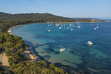 France, Var (83), Iles d'Hyères, parc national de Port Cros, Ile de Porquerolles, la plage Notre-Dame dans la Baie de l'Alycastre (vue aérienne)