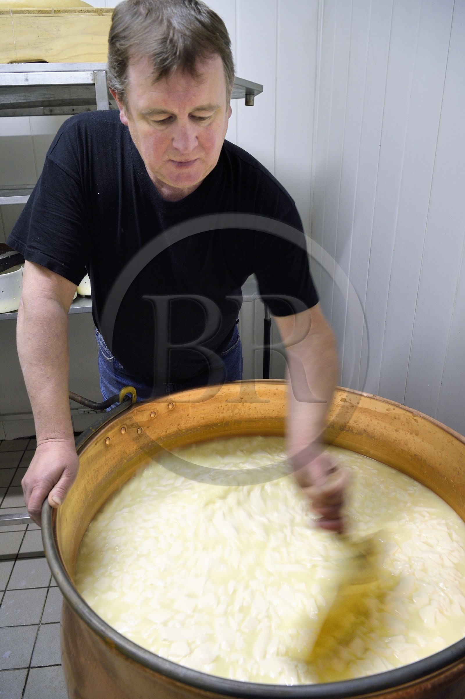 France, Haut-Rhin (68), Wasserbourg, Ferme-auberge Buchwald, le marcaire Michel Wehrey à la fabrication du fromage de munster AOP (lait de vache), découpe à l'écumoire du caillé pour faire monter le petit lait et descendre le fromage dans le chaudron en cuivre