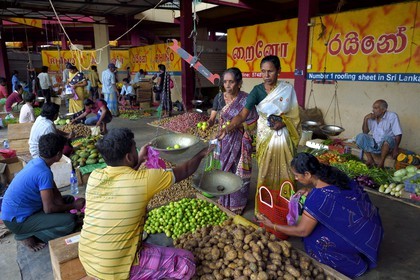 Sri Lanka, Eastern Province, Trincomalee, the covered market, selling vegetables