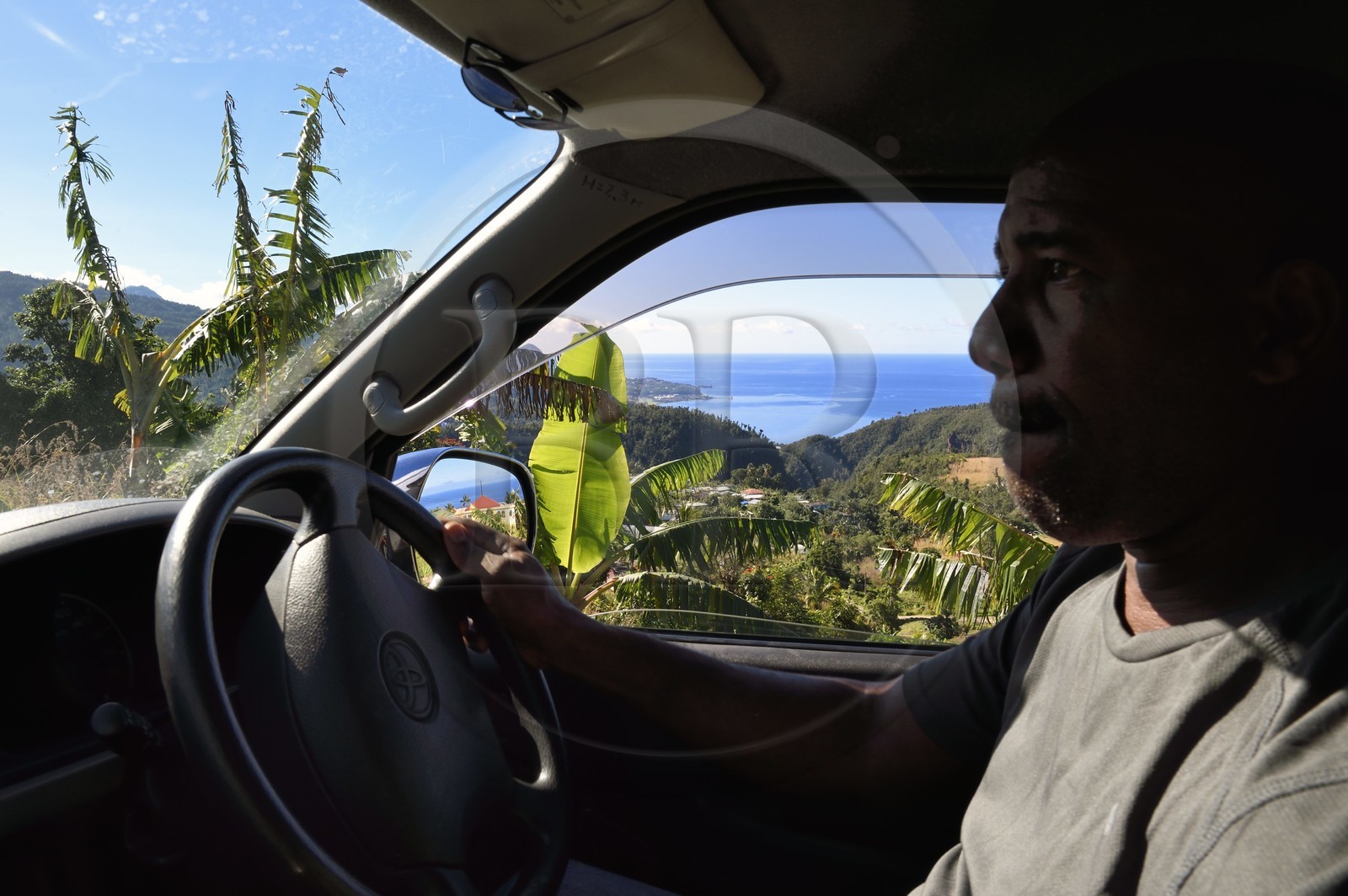 Caraïbes, Ile de la Dominique, sur la route Imperial Road vers Pont-Cassé