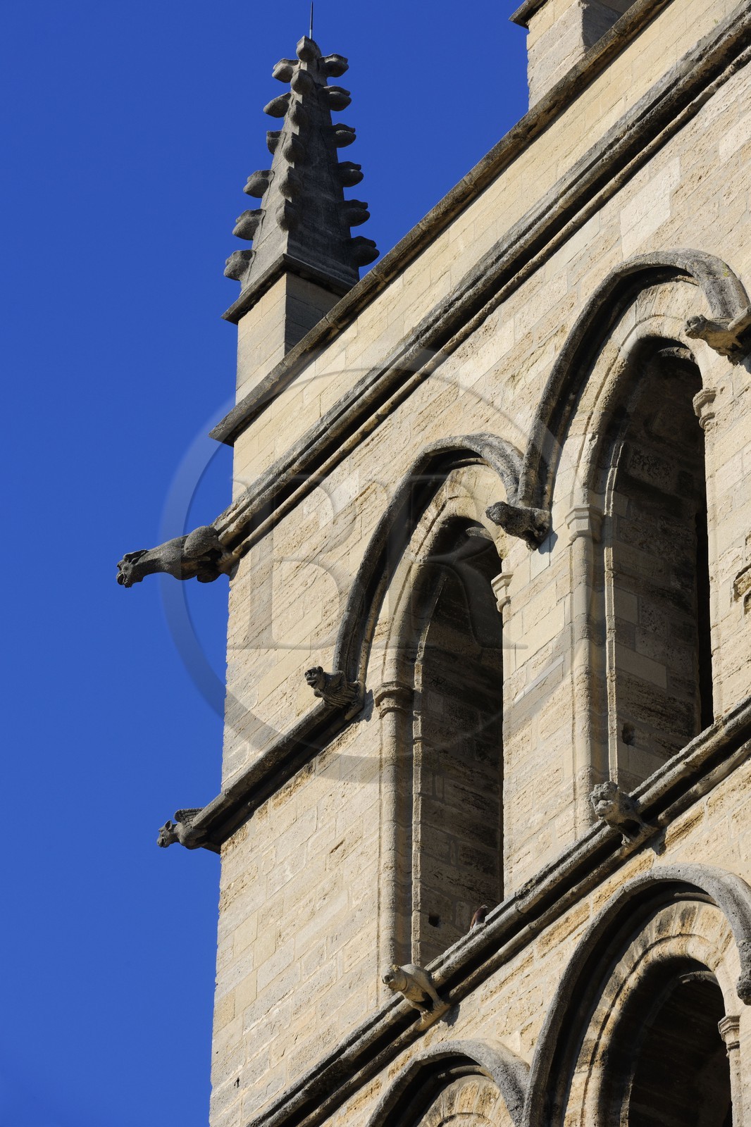 France, Hérault (34), Montpellier, centre historique, la cathédrale Saint Pierre