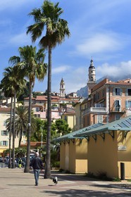 France, Alpes-Maritimes (06), Menton, la vieille ville