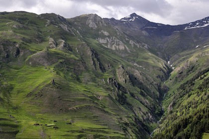 Georgia, Kakheti, Tusheti National Park, Alazani River Valley in the mountains of Pirikiti, hamlet east of the village of Dartlo, fortified medieval towers ruins