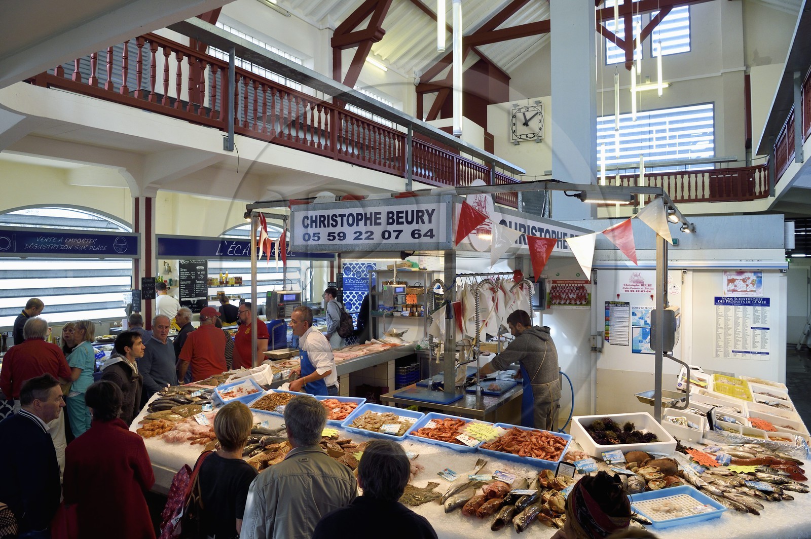 France, Pyrénées-Atlantiques (64), Pays-Basque, Biarritz, le marché couvert des Halles, la halle des poissonniers