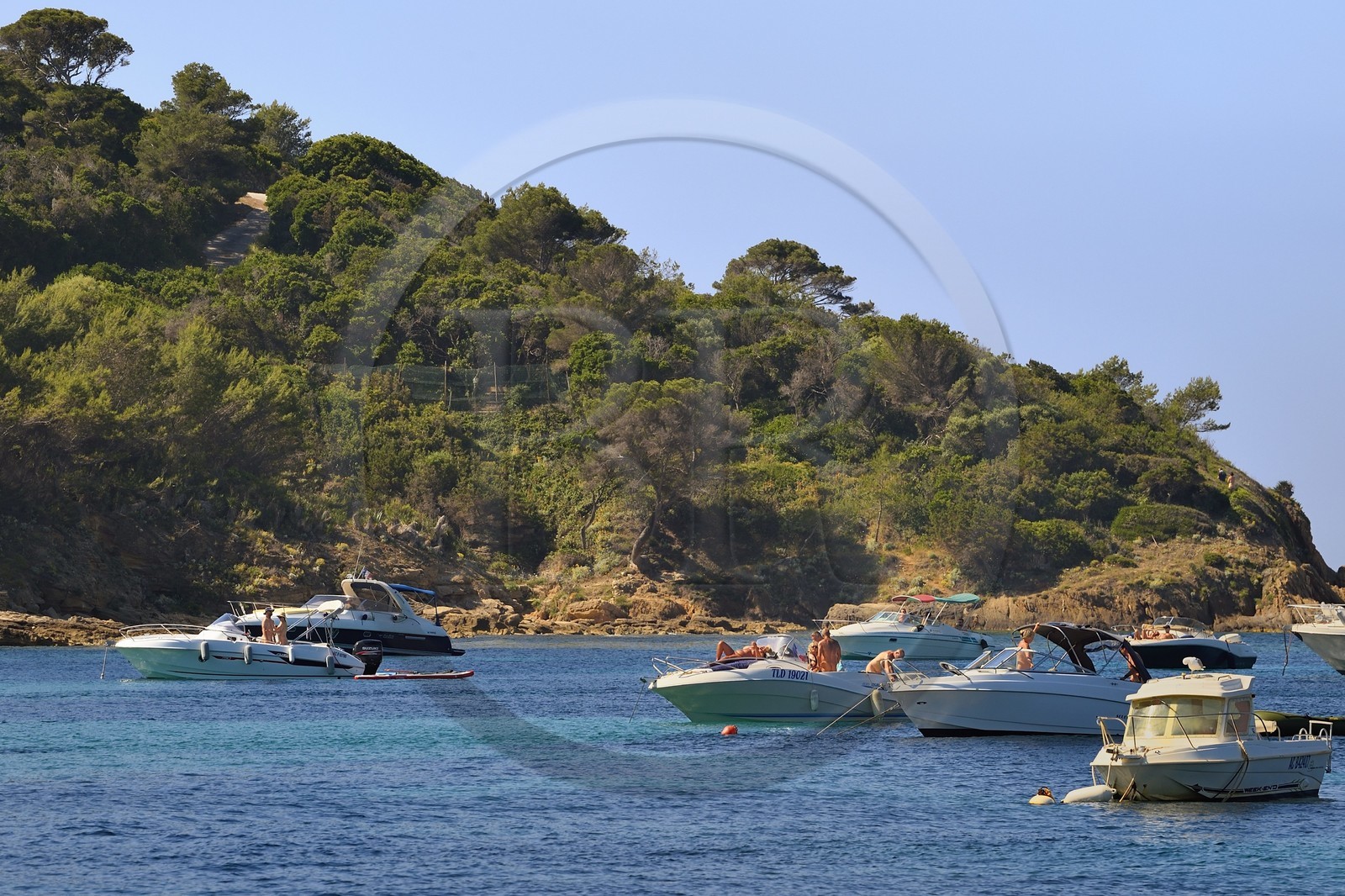 France, Var (83), Iles d'Hyères, Parc national de Port Cros, Ile du Levant, domaine naturiste d'Héliopolis