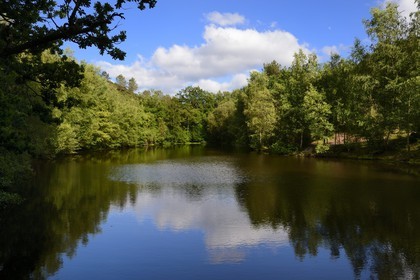 France, Morbihan (56), forêt de Brocéliande, Tréhorenteuc, la Mare aux Fées du Val sans Retour où selon la légende la Fée Morgane retenait ses amants infidèles
