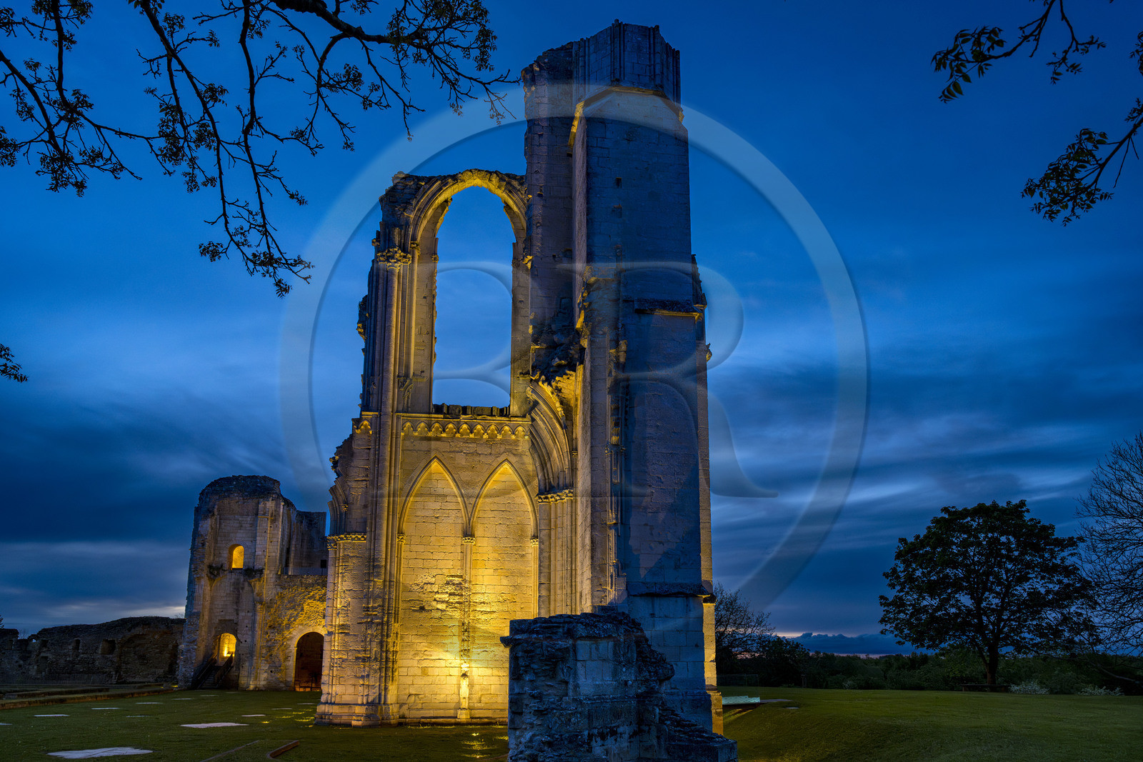France, Vendée (85), Parc Interrégional du Marais Poitevin labellisé Grand Site de France, Maillezais, vestiges de l'abbaye Saint-Pierre de Maillezais