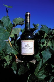 France, Gers, Eauze, bottle of Floc de Gascogne