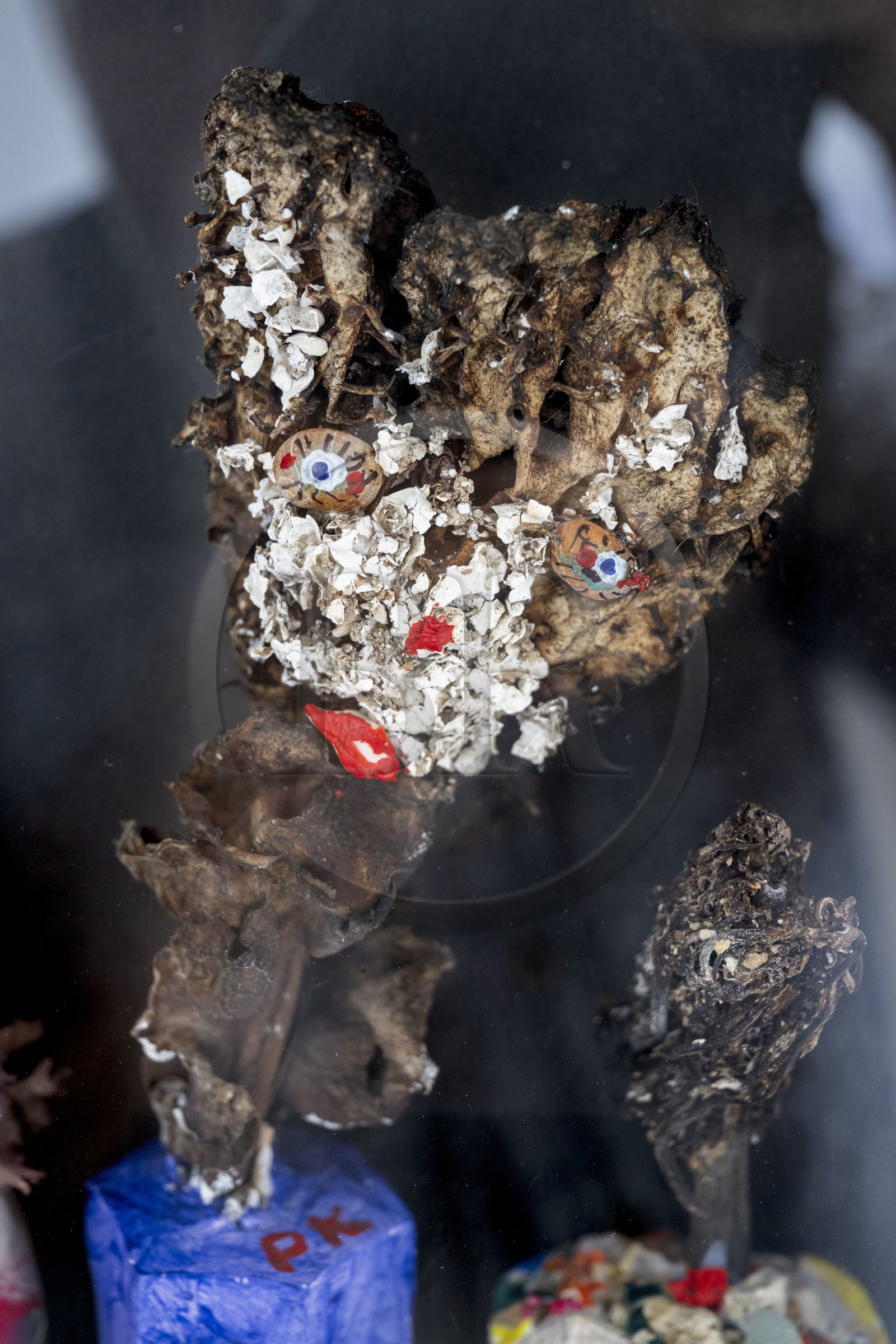 France, Finistère (29), Mer d'Iroise, Ile d'Ouessant, goémon séché et peint de Paul Boloré, artiste naviguant entre art naïf et art brut