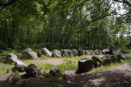 France, Morbihan, forest of Broceliande, Jardin aux Moines (Monks Garden), megalithic site dating from 3000-2500 BC.