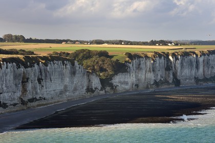France, Seine Maritime, Pays de Caux, Cote d'Albatre, Fecamp, cliffs south of the city