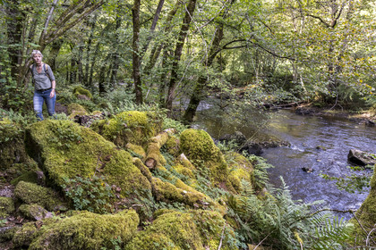 France, Yonne, hiking in the Cousin River Valley towards Pontaubert