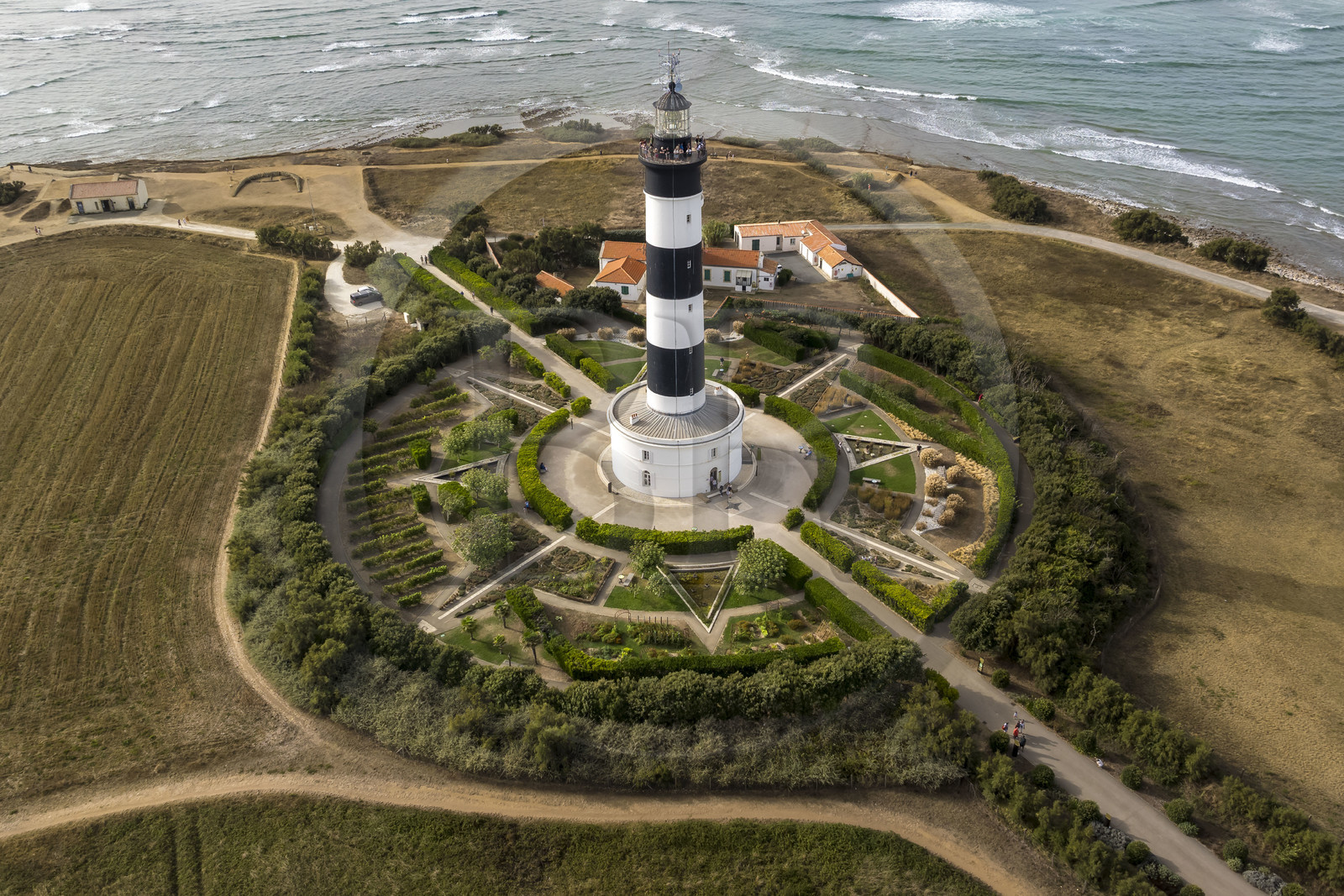 France, Charente Maritime, Oleron island, Saint Denis d'Oléron, the Chassiron lighthouse (aerial view)