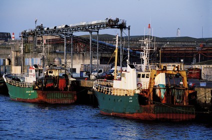 France, Morbihan (56), Lorient, port de pêche (Keroman)