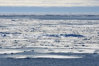 Groenland, cote Nord-Ouest, Smith sound au nord de la baie de Baffin, morceaux de glace de la banquise arctique en train de fondre