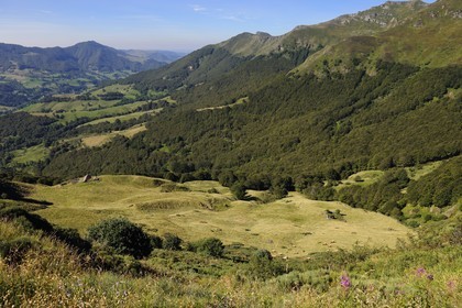 France, Cantal, Monts du Cantal, Parc Naturel Regional des Volcans d' Auvergne (Regional Nature Park of the Volcanoes of Auvergne), the Vallee de la Jordanne (Jordanne Valley) towards Mandaille-Saint-Julien