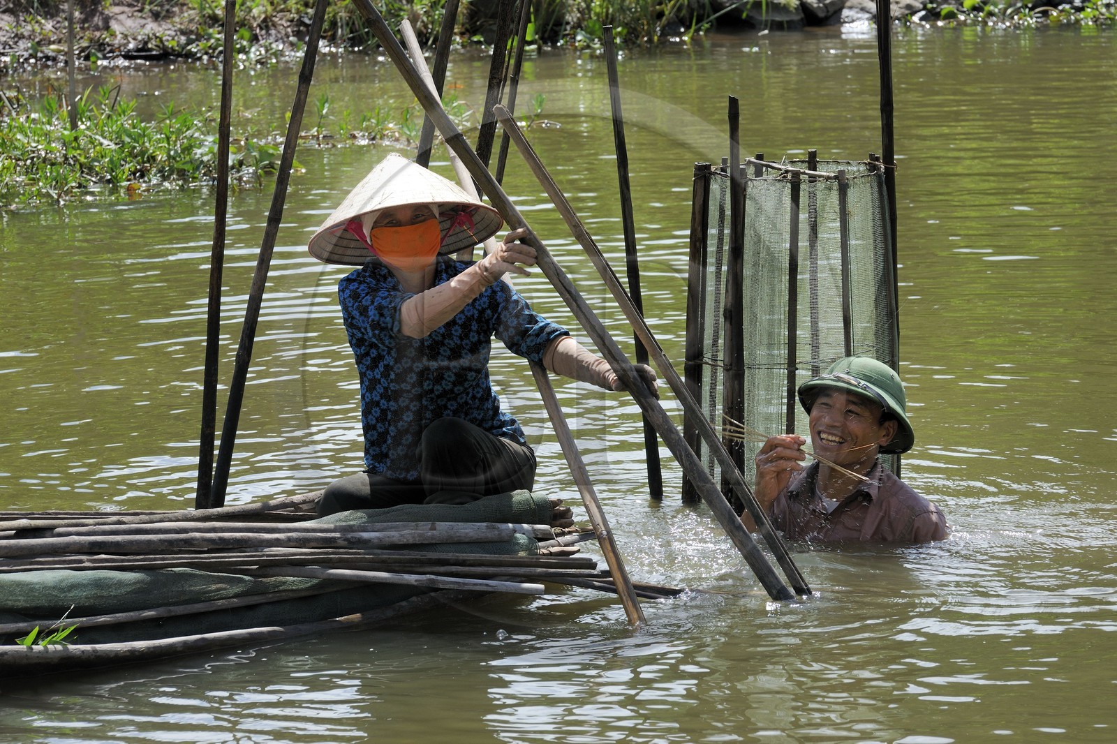 Vietnam, Ninh Binh province, implantation of fish nets in the river Vietnam, Ninh Binh province, implantation of fish nets in the river