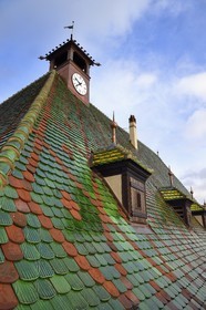 France, Haut Rhin, Colmar, roof with glazed tiles of the former douane or customs control edifice (Koifhus)