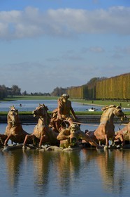 France, Yvelines (78), parc du château de Versailles, classé Patrimoine Mondial de l'UNESCO, le bassin d' Apollon et le Grand Canal