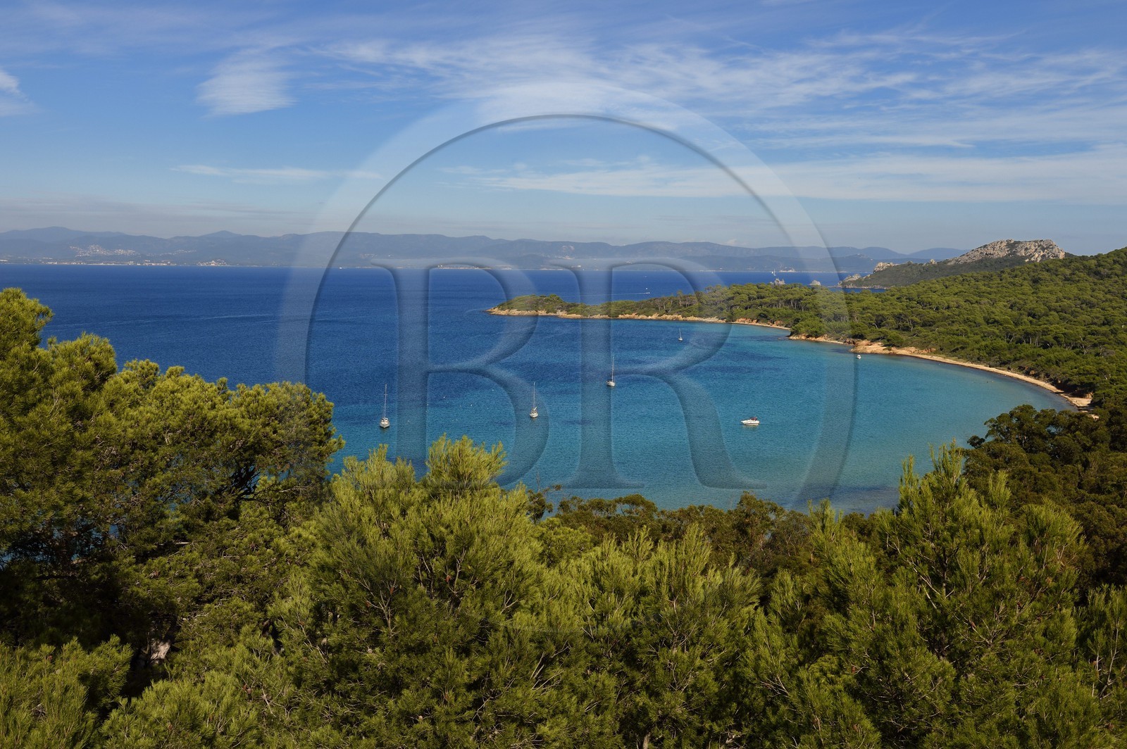 France, Var (83), Iles d'Hyères, parc national de Port Cros, Ile de Porquerolles, plage de la Courtade