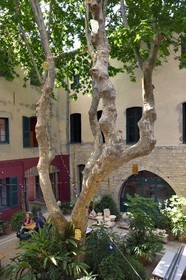 France, Var, Toulon, former Bishopric main site of the Festival Design Parade Toulon on the Cours Lafayette