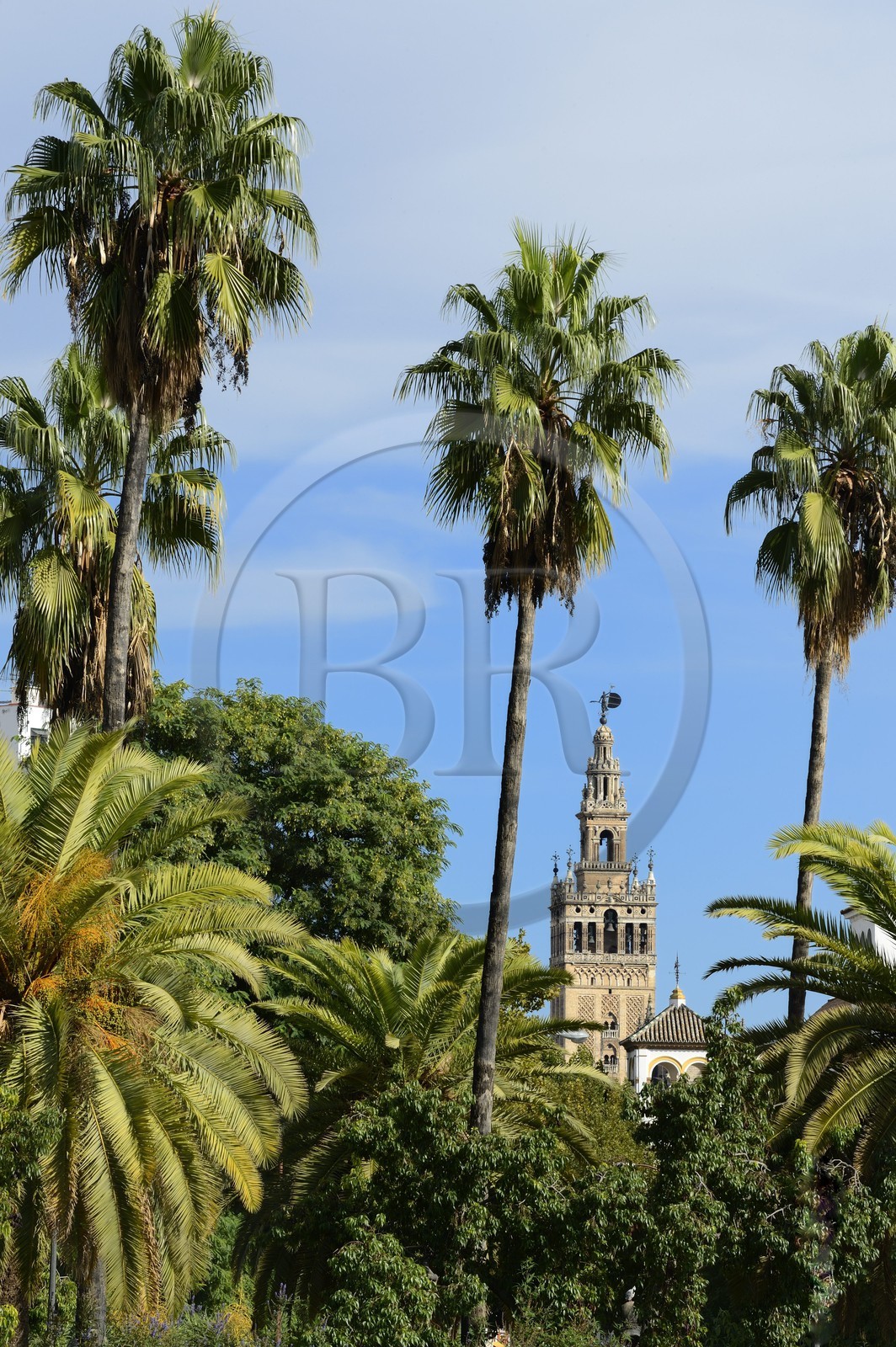 Espagne, Andalousie, Séville, la Giralda, ancien minaret almohade de la Grande Mosquée reconverti en clocher de la cathédrale, classé Patrimoine Mondial de l'UNESCO