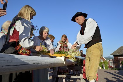 Suède, comté de Dalécarlie, région de Leksand, célébrations du solstice d'été dans le petit hameau de Hjulbäck, préparation de l'arbre de mai