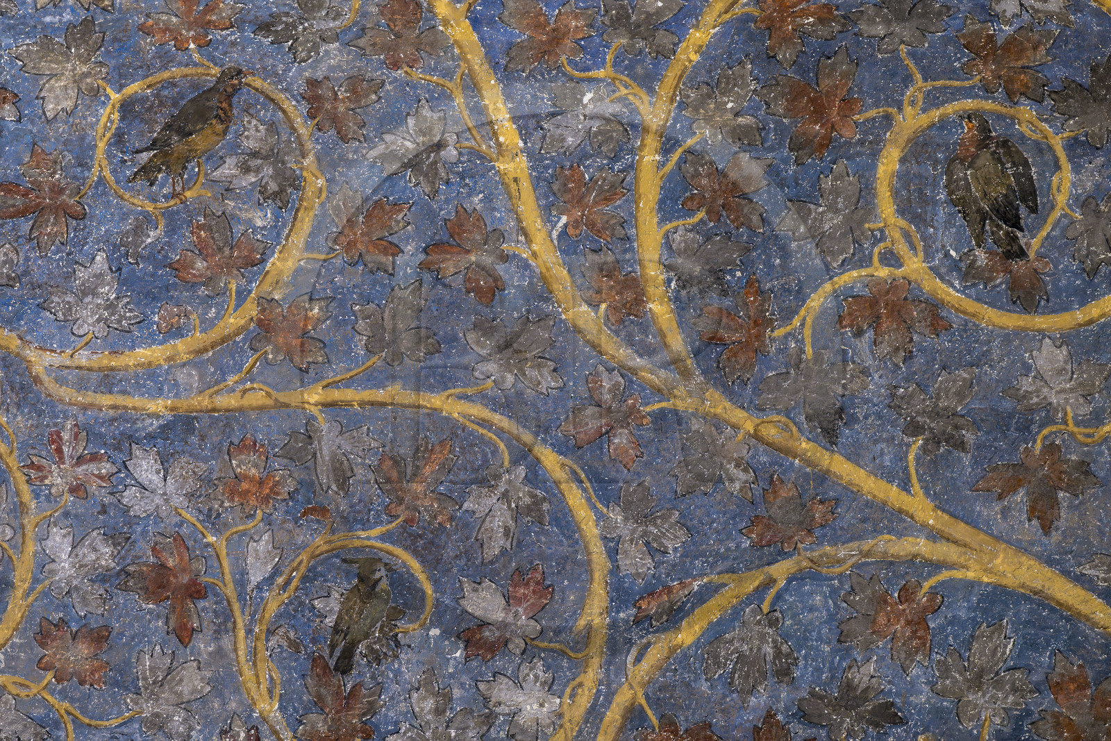 France, Vaucluse (84), Avignon, Palais des Papes classé Patrimoine mondial de l'UNESCO, la tour des Anges ou tour du pape, chambre du Pape, un espace végétal à deux dimensions fait de rinceaux de vigne et de chêne, parsemés d’oiseaux et d’écureuils, orne les murs sur un fond bleu ciel