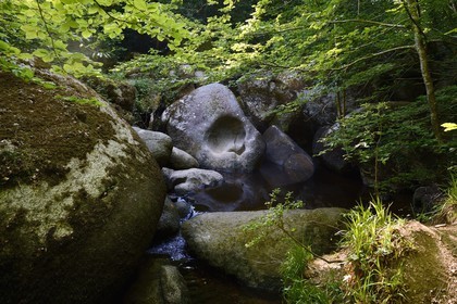 France, Finistere, Parc Naturel Regional d'Armorique (Armorique Natural Regional Park), Huelgoat, granitic chaos of the Huelgoat forest, the Argent river