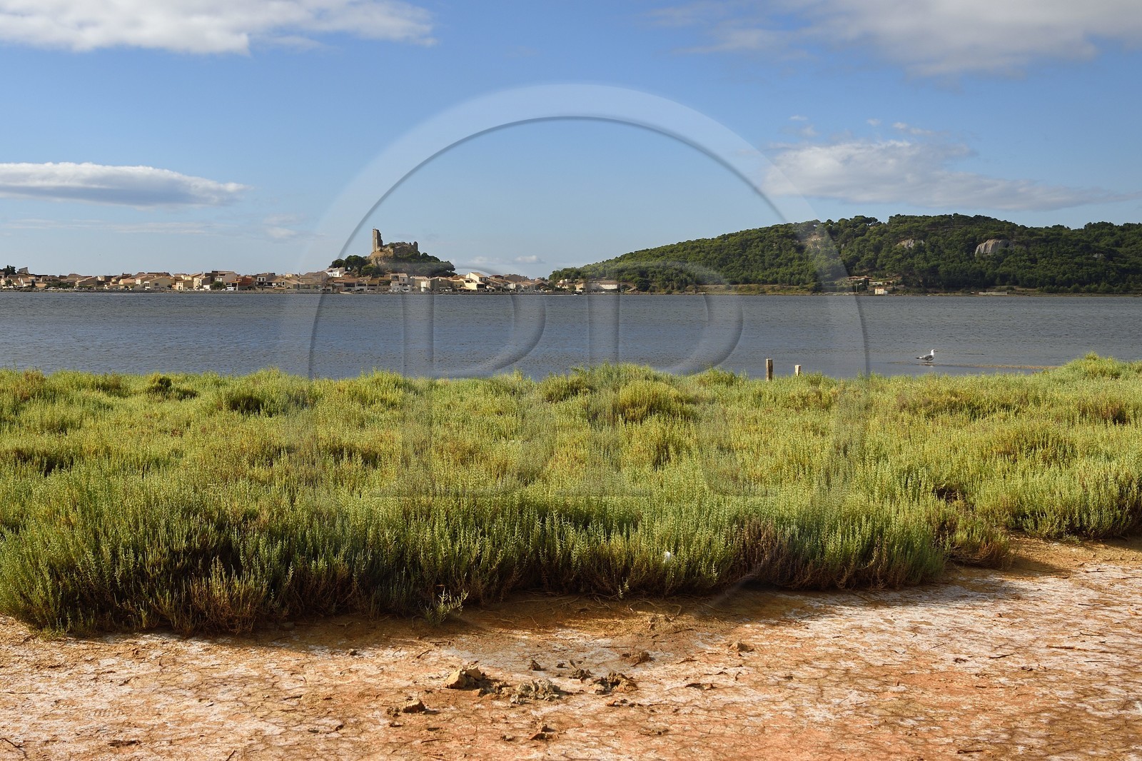 France, Aude (11), Narbonne, les Corbières, Gruissan, le vieux village et son château, forteresse militaire médiévale pour la surveillance côtière dominée par la tour Barberousse du XIIIe siècle