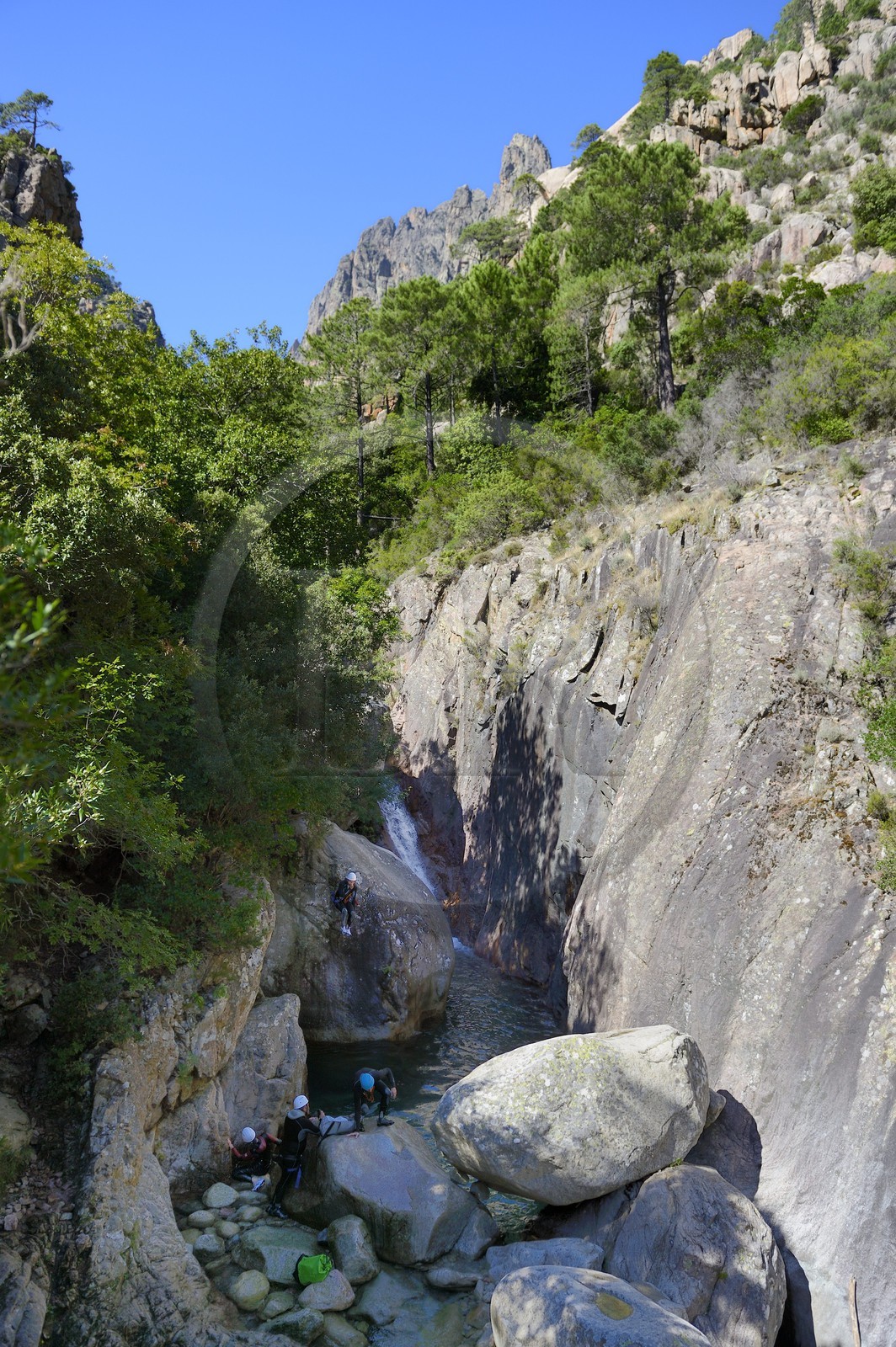 France, Corse-du-Sud (2A), Alta Rocca, Bavella, canyoning dans le torrent de Polischellu