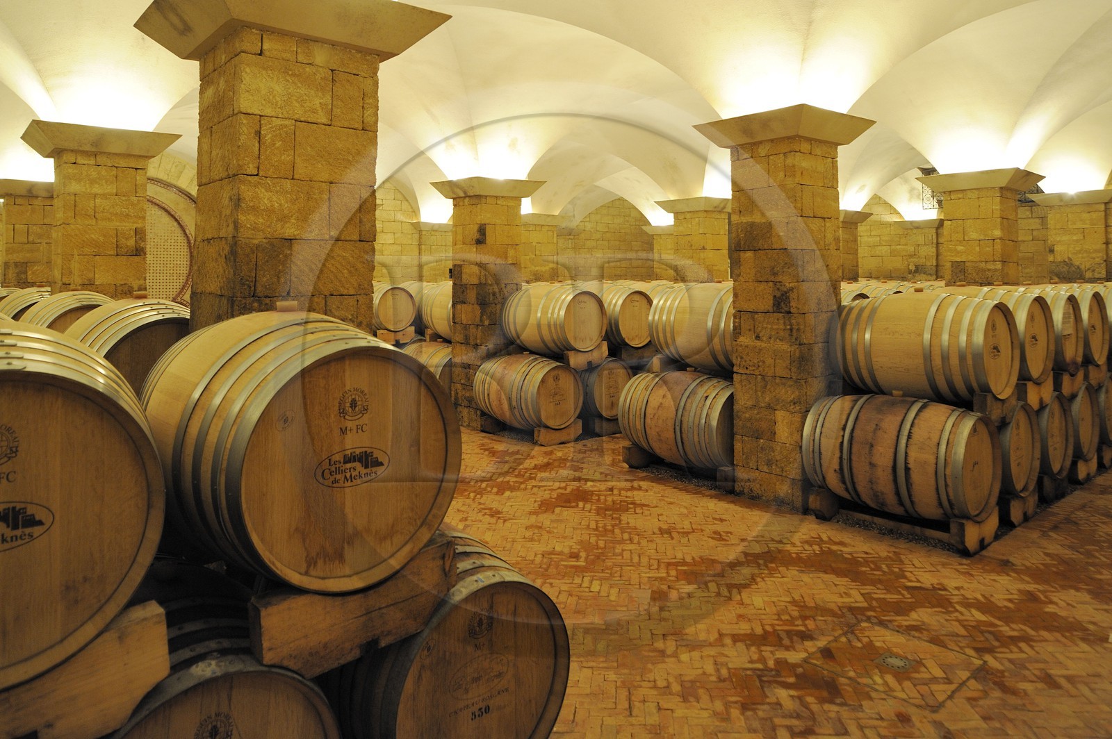 Maroc, région de Meknès, Boufakrane, Les Celliers de Meknès, les caves à vin